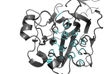 Figure 2: Shown in teal is the Glycine Rich Region of ALK in its helical structure.