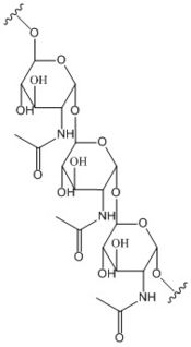 Figure 2: Poly-β-1,6-N-acetylglucosamine. Poly-β-1,6-N-acetylglucosamine is a carbohydrate formed downstream of c-di-GMP utilized in formation of bacterial bio-films.