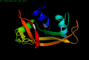 2AAS-Cartoon NMR structure of bovine pancreatic Ribonuclease A.
