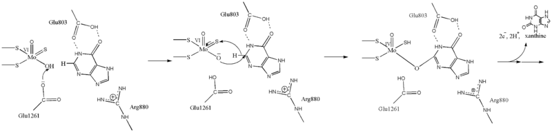 Image:Hypoxanthine Mechanism.png