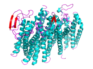 Figure 2: 5DOQ monomer subunit; alpha helices in teal, beta sheets in purple.
