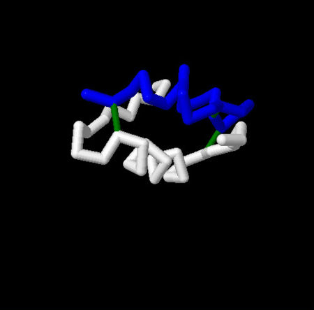 insulin model