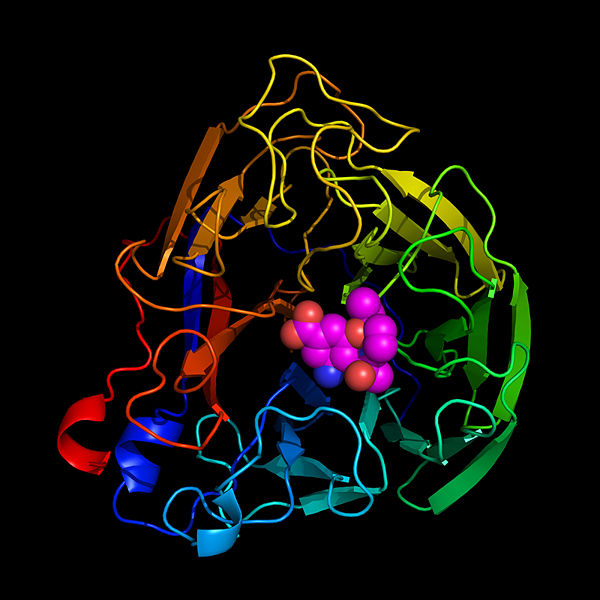 Image:Neuraminidase-and-tamiflu.jpg