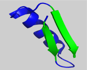 β-α-β motif in Subomain 1 of AP-acin. In green is two parallel β-strands. In blue is an α-helix.