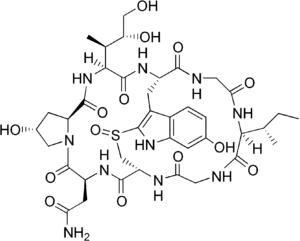 The chemical structure of α-amanitin.