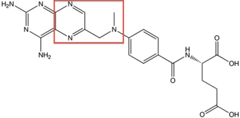Structure of Methotrexate