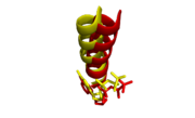 Alignment of O-helices and incoming nucleotides. Mg2+ complex (yellow) shifts slightly closer to incoming ddGTP than Ca2+ complex (red) relative to its incoming ddATP.