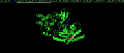 Kinase domain with highlighted mutant sites. PD BID: 3p08