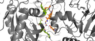 Figure 1. The coolest image of this protein.
