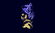 Figure 2: Ribose-5-Phosphate Isomerase A