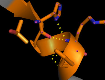 “Capping box” motif in alpha thrombin (PDB: 1PPB) represented by His230 (Ncap) side chain and main chain hydrogen bonded with the backbone nitrogen of Arg233 (N3). An additional feature is a weak hydrophobic interaction between Thr229 (N’) and Val234 (N4) termed the “hydrophobic staple.” This motif derives it’s name from the box shaped hydrogen bonding pattern.
