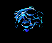 Cu, Zn Superoxide dismutase polypeptide chain coloured by B-factors