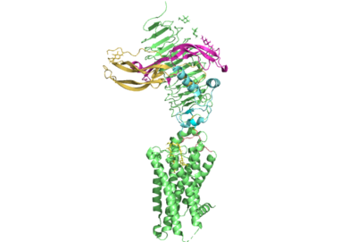 Figure 1. The coolest image of this protein EVAH!