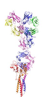 Figure 1.The coolest image of this protein EVAH!!!”